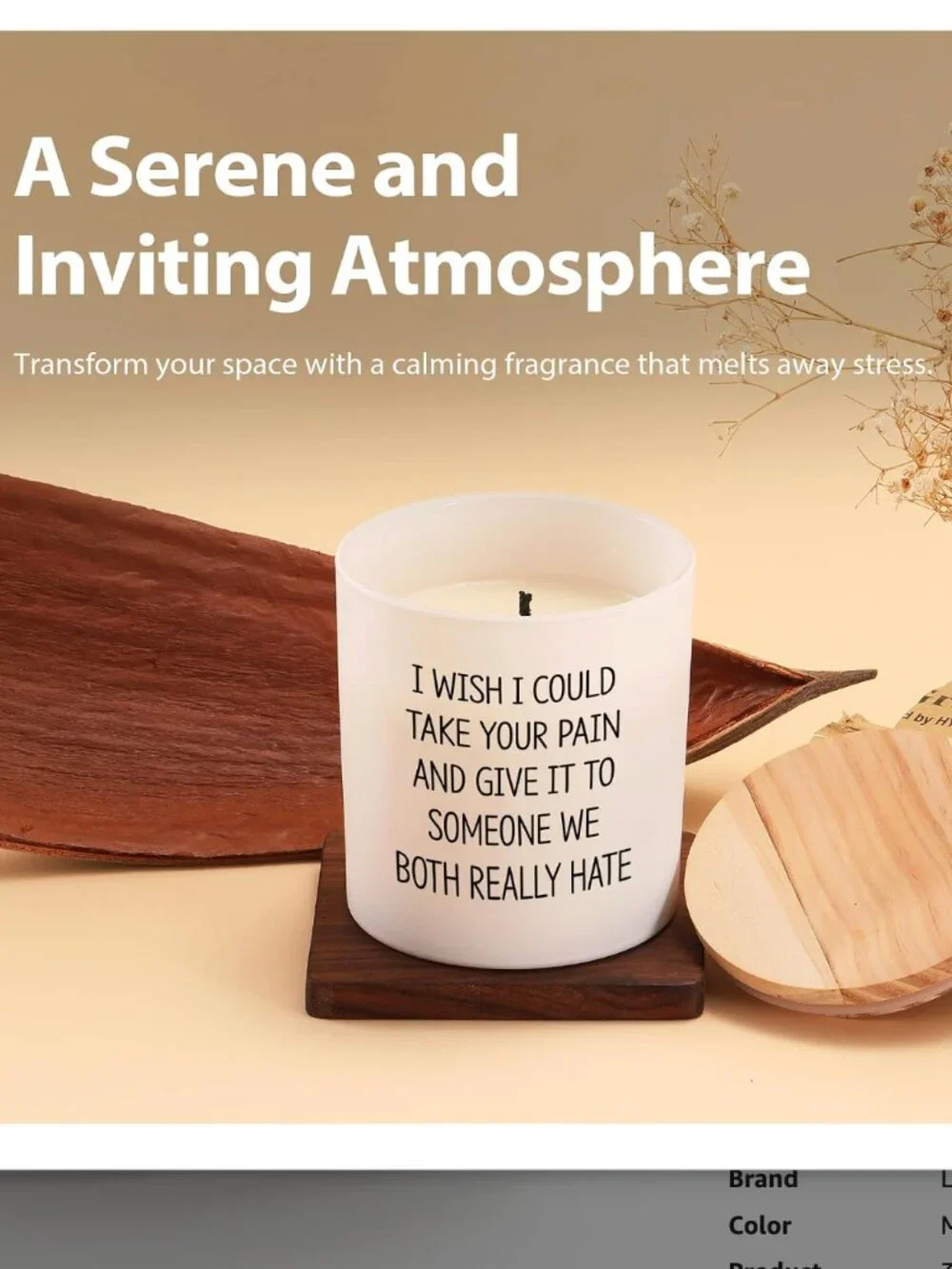 I Wish I Could Take Your Pain Recovery Gift Jar Candle 9.5 oz Layered Scent